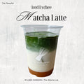 Iced Lychee Matcha Latte